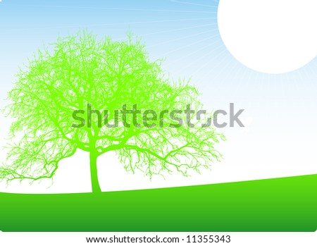 Abstract alone tree landscape in summer