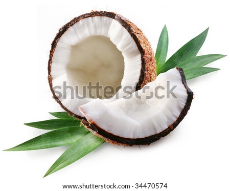 coconut on a white background coconut on a white background