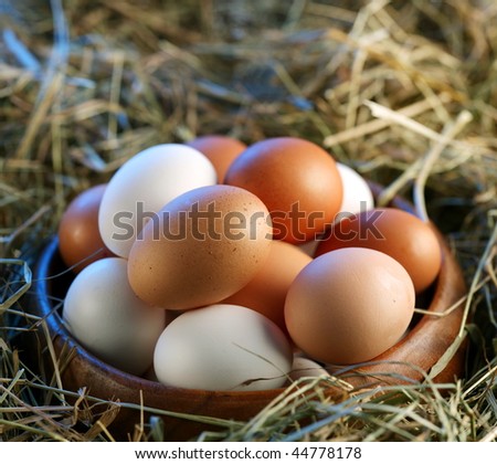 Chicken eggs in the straw in the morning light.