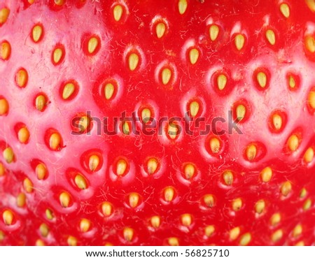 Strawberry texture. Macro shot of strawberry.