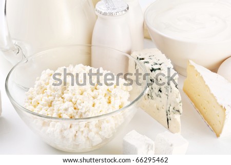 Different milk products: cheese; cream; milk. On a white background.