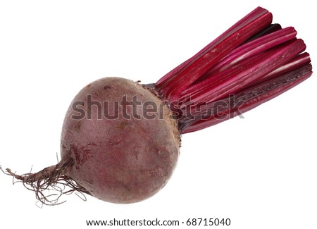 Image of beet on white background. The file contains a path to cut.