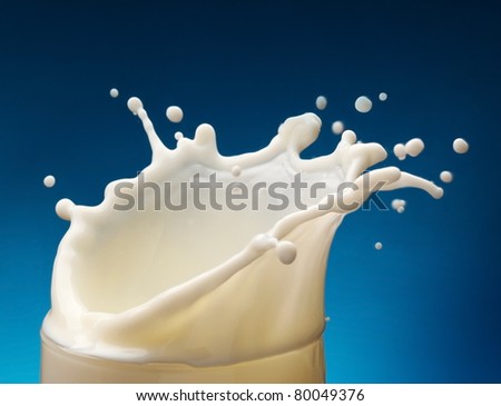 Splash of milk from the glass on a blue background