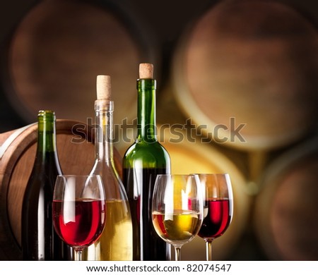 Wine tasting in the wine cellar.