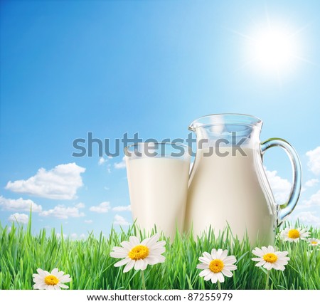 Milk jug and glass on the grass with chamomiles. On a background of the sunny sky with clouds.