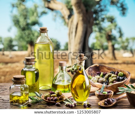 Olive oil and olive berries are on the wooden table under the olive tree.