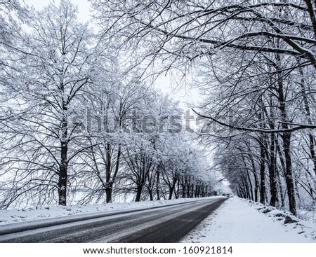 Country Snow Road. Trees Along The Road Covered With Snow. Perspective.