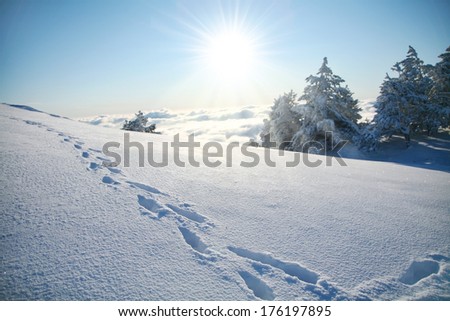 Footprints in the snow, reaching to the horizon above the clouds.