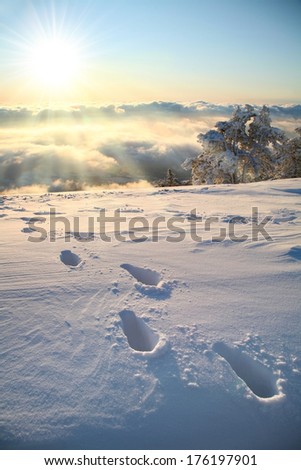 Footprints in the snow, reaching to the horizon above the clouds.