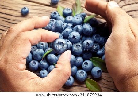 Blueberries in the man\'s hand. Blueberries over old wooden table in the background.