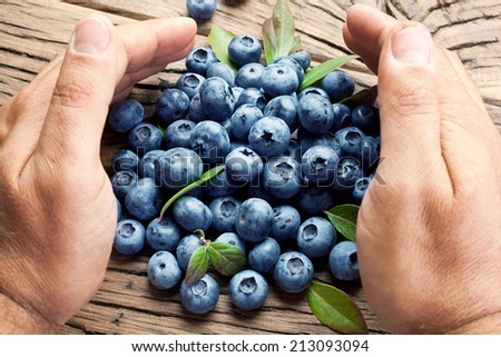 Blueberries in the man\'s hands. Old wooden table.