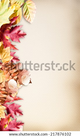 Autumn leaves on water colour paper. Arranged  as a frame from one side.