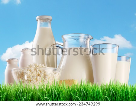 Dairy products on the grass. Background - sunny skies.