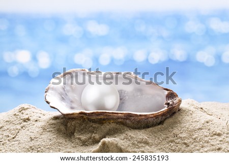Pearl oyster in the sand. Blurred sea at the background.