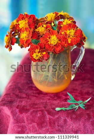 bright red flowers marigolds in a vase on a table.