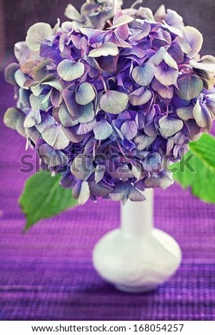 purple hydrangea flowers in a vase.