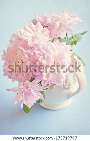 pink chrysanthemum flowers in a vase on a light blue background