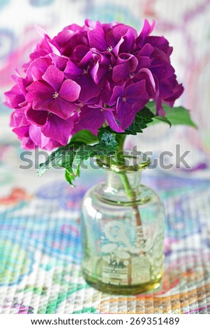 beautiful purple hydrangea flowers in a vase on a table .