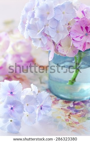 beautiful hydrangea flowers close-up in a vase