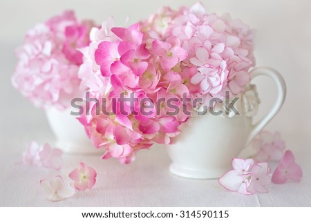 Beautiful pink hydrangea flowers close-up in a ceramic jug on a light background.