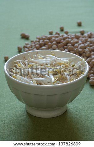 Close-up view of texture of organic Soy Sprouts