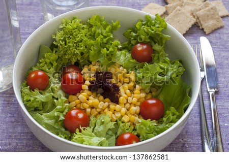 Close-up view of fresh organic mixed salad: lettuce, sweet corn, tomato