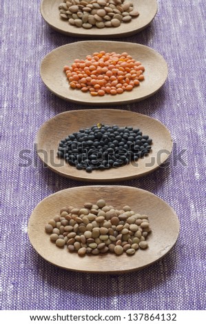 Close-up view of four different variety of Organic Lentils: (back to front) Green, Red, Black Beluga, Small Umbrian Lentils.