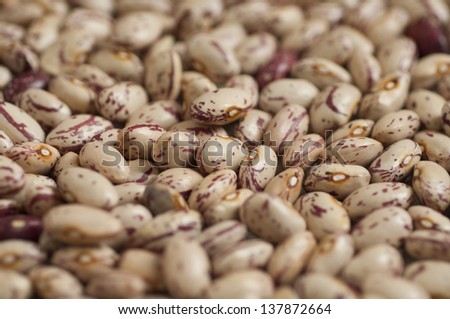 Close-up view of organic Pinto beans