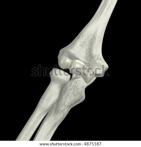 Elbow Bones Stock Photo 4875187 : Shutterstock