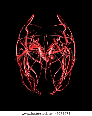 Brain Arteries