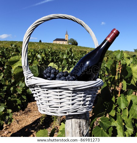 bottle of wine and grappes in basket in France