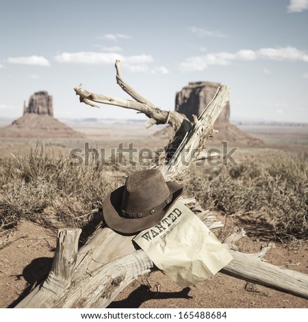 Brown hat in front of Monument Valley, USA