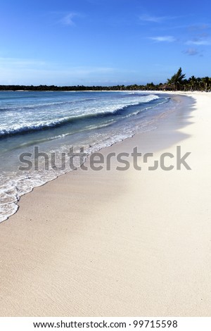 mexican beach with wave on the sand under the sun