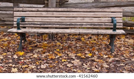 fall landscape leaf