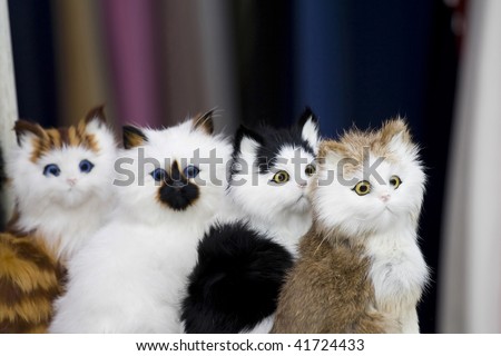 plush toy cats