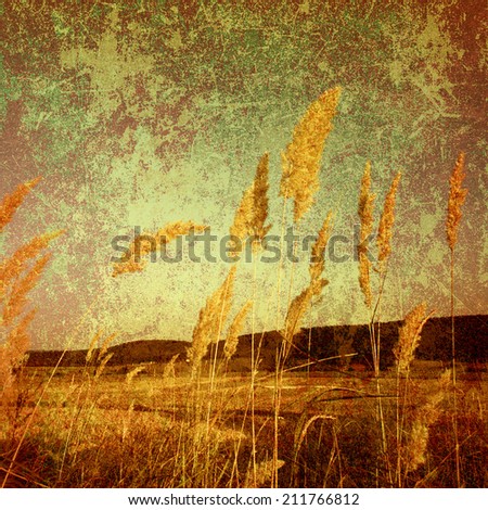 Grunge background of old paper texture with weeds on the meadow. For book cover design, flyer, web page or wallpaper