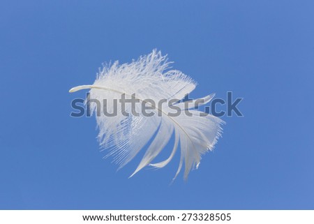 isolated movable white floating feather on blue sky background