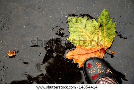 maple leaf shoes