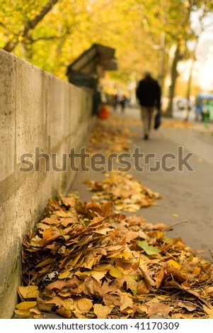 Autumn in Paris. Fallen leaves at the Seine embankment. Focus on leaf heap
