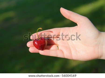 Heart in hand. Female hand holding heart-shaped cherry