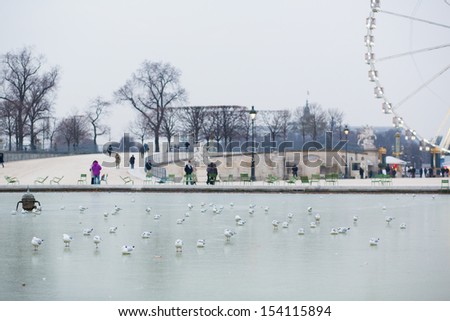Cold winter day in Paris. Seagulls on the frozen pond
