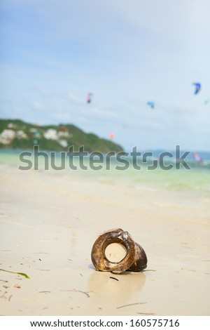 Coconut on a beach with fly surfers in the background