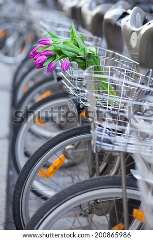 Spring is coming! Bunch of tulips in basket of Parisian public bike for rent