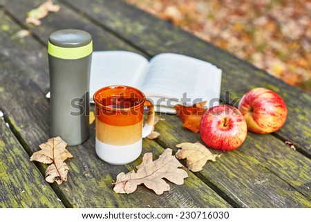 Vaccuum flask with hot tea, mug, apples and book on a picnic table on a fall day