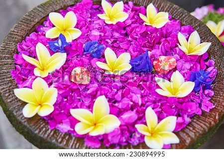 Colorful Frangipani flowers in a bowl of water on Bali, Indonesia