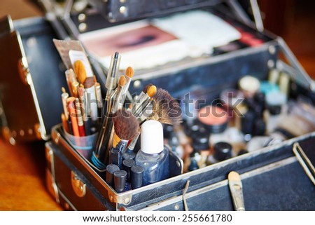 Makeup brushes in a makeup artist case
