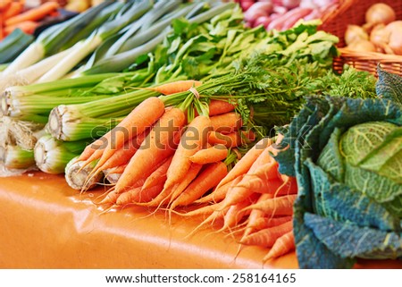 Fresh healthy bio fennel and carrots on Paris farmer agricultural market