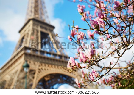 Spring in Paris. Pink magnolia and Eiffel tower