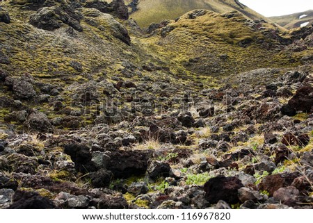 Expansive moss-covered lava field and mountains,Landmannalaugar, Iceland