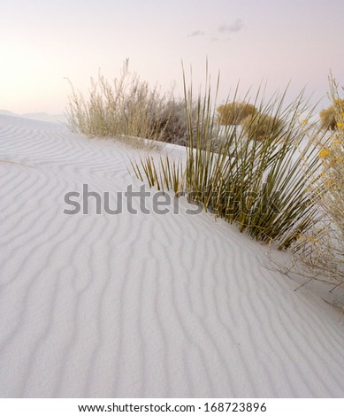 Gypsum sand dune shapes at dusk in White Sands National Monument, New Mexico